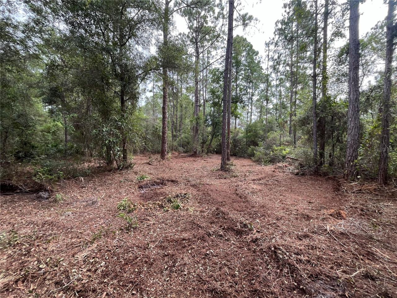 Photo 3 of 124 Glenside St, Georgetown, FL 32139