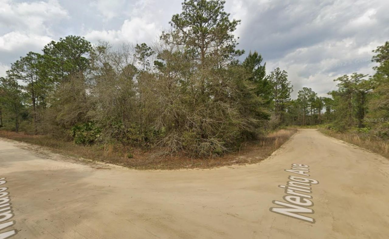 Lot 18 Wallace St, Interlachen, FL 32148