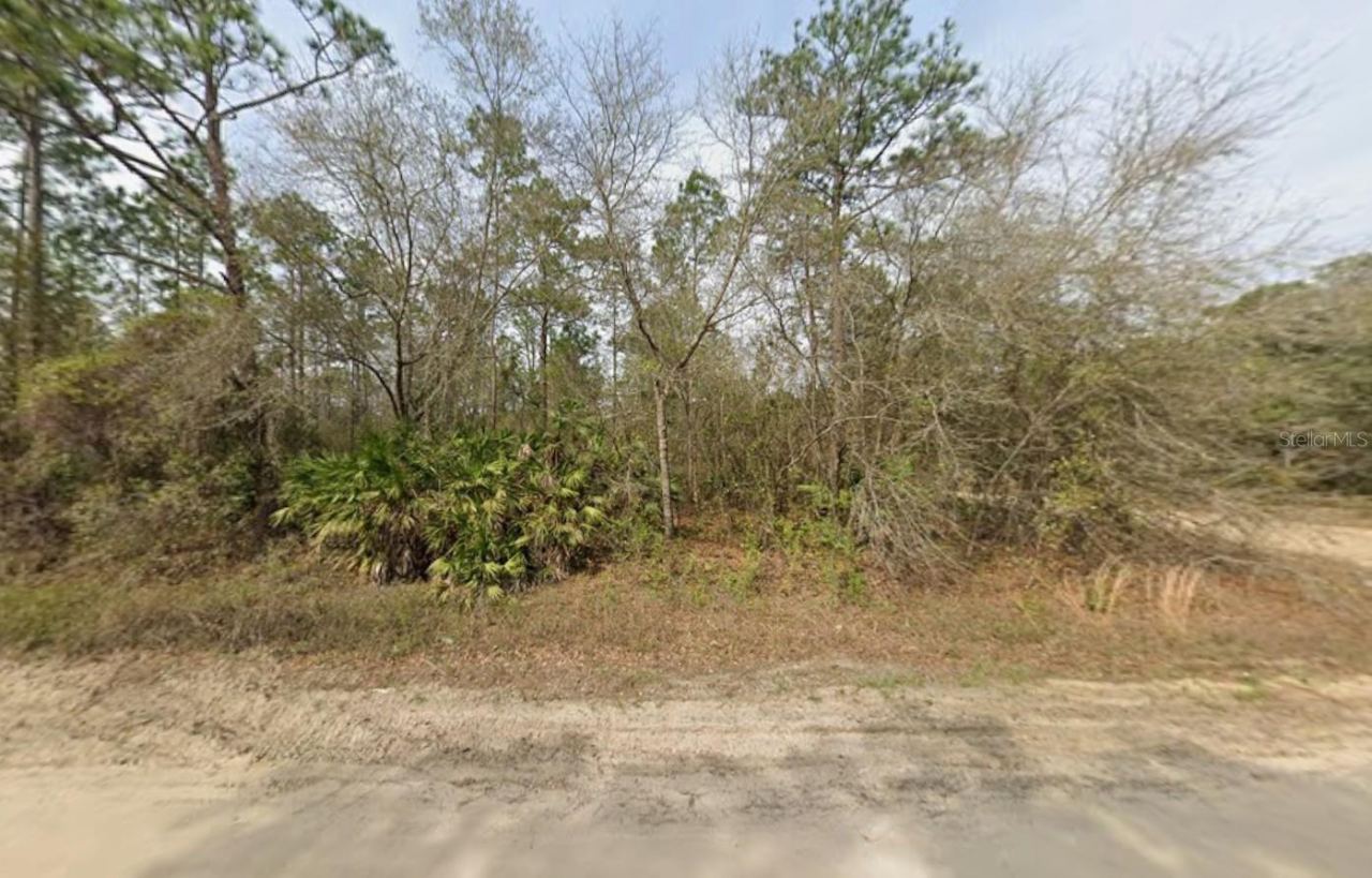 Photo 3 of Lot 18 Wallace St, Interlachen, FL 32148