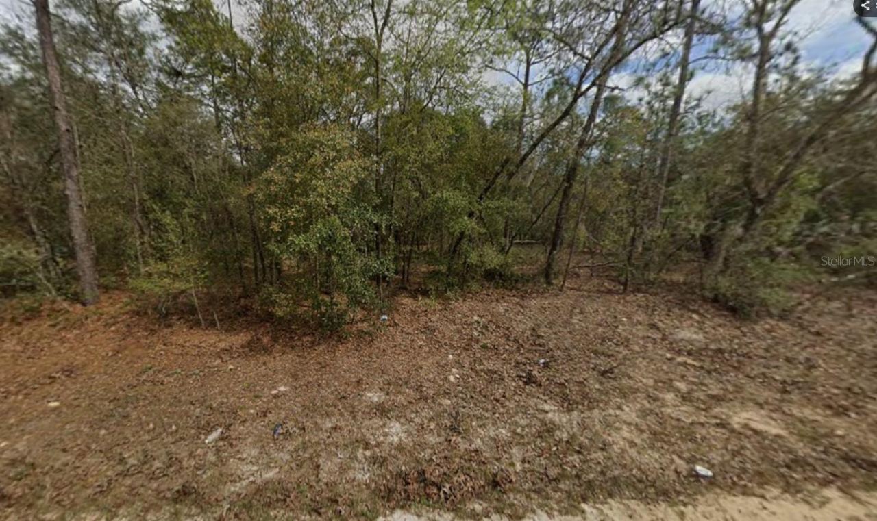 Lot 28 Janet Ave, Interlachen, FL 32148