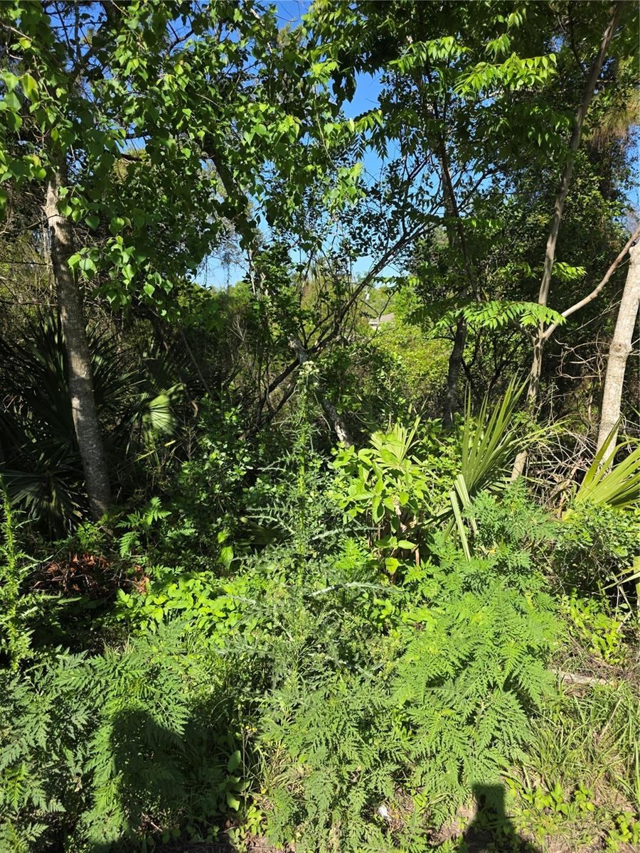 Photo 2 of 226 Walnut Ave, Orange City, FL 32763