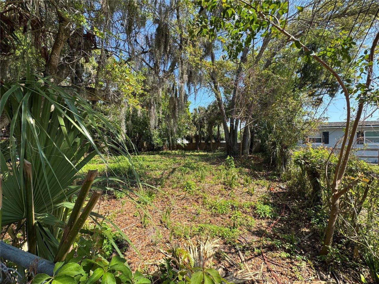Photo 2 of 1127 Martha Dr, Daytona Beach, FL 32114