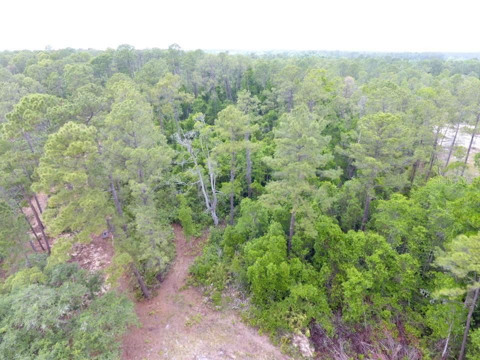 Photo 2 of 161 Snake Hill Rd, Crescent City, FL 32112