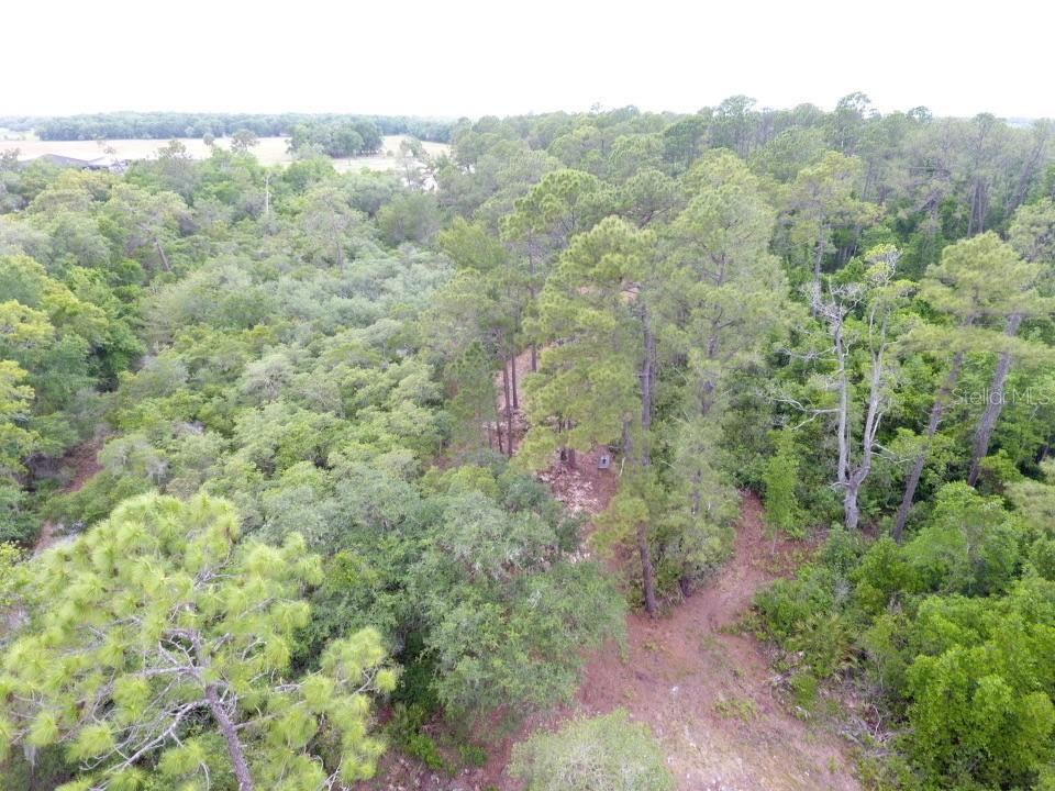 155 Snake Hill Rd, Pomona Park, FL 32181