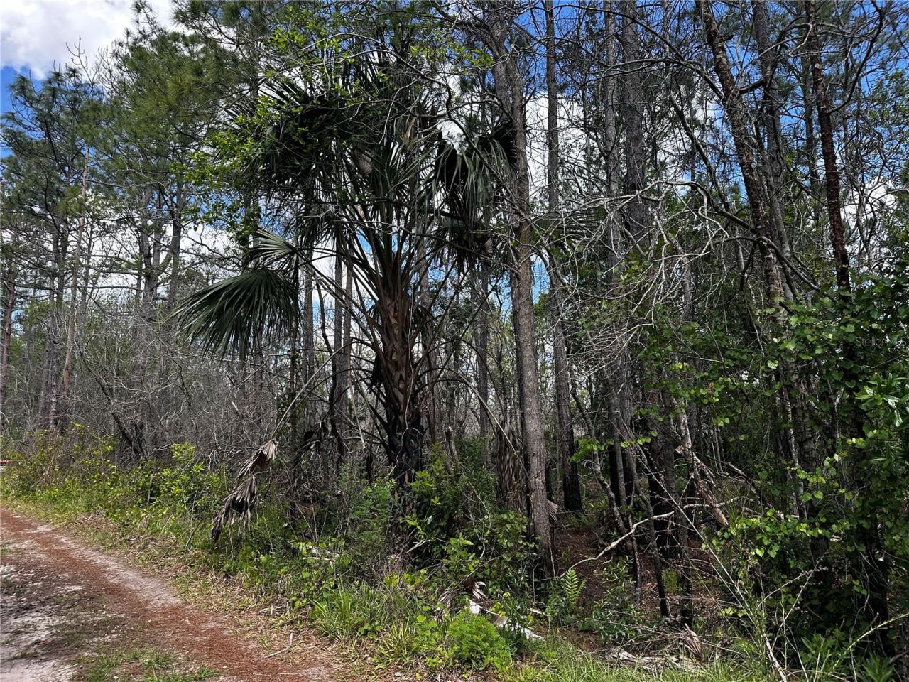 Photo 2 of 00 Kola Rd, New Smyrna Beach, FL 32168