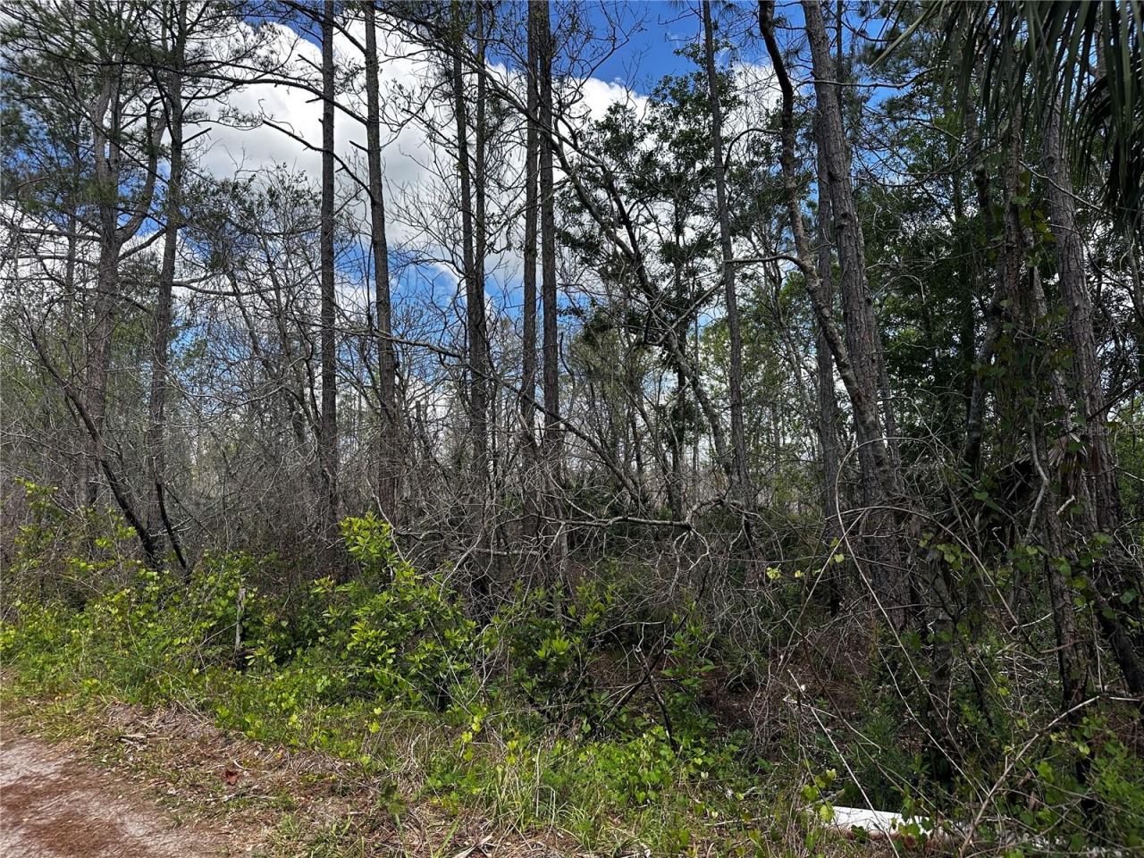Photo 3 of 00 Kola Rd, New Smyrna Beach, FL 32168