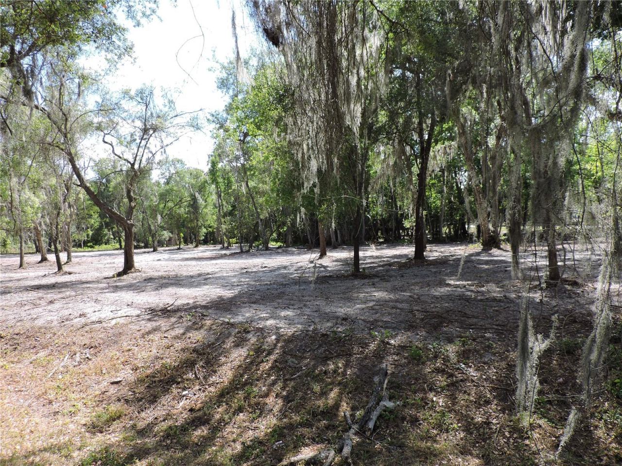 Photo 2 of County Road 309, Crescent City, FL 32112