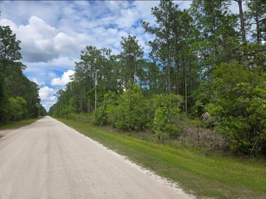 1747 Candleberry St, Bunnell, FL 32110