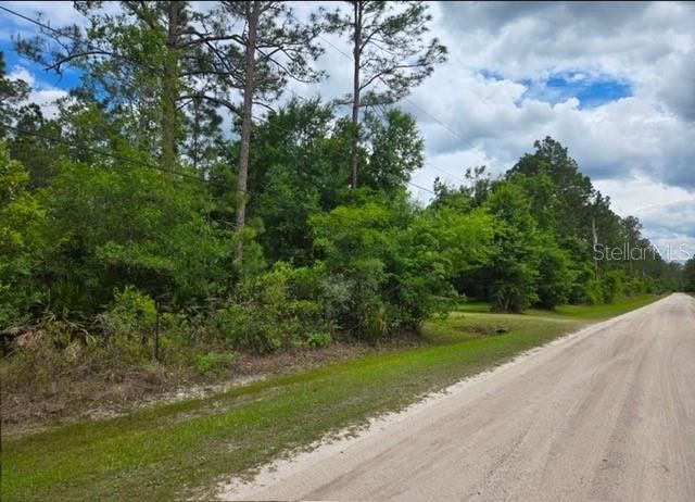 Photo 2 of 1747 Candleberry St, Bunnell, FL 32110