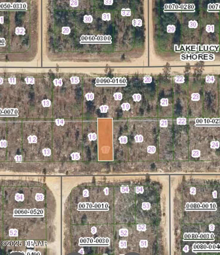 Photo 3 of 154 1st Ave, Interlachen, FL 32148