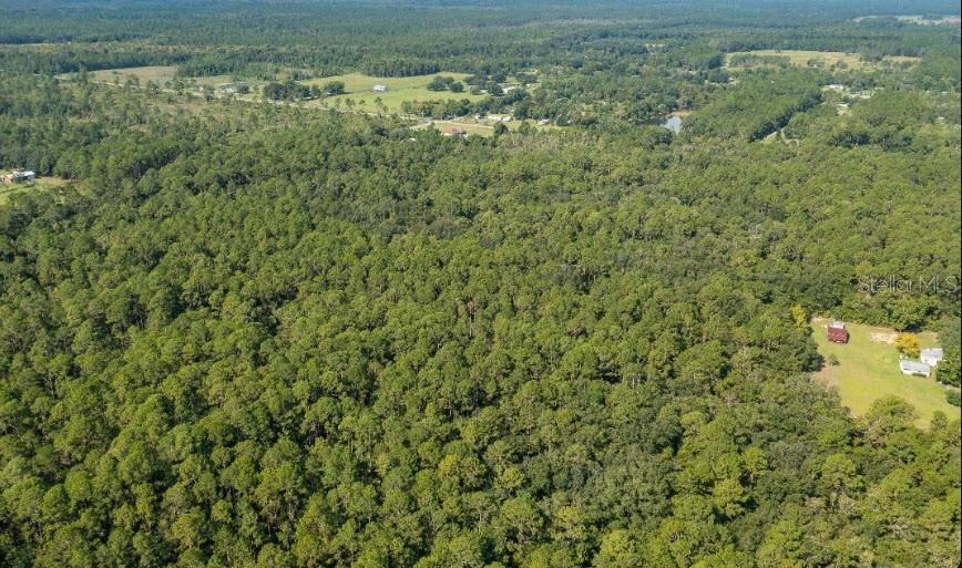Photo 5 of 859 W River Rd, Palatka, FL 32177