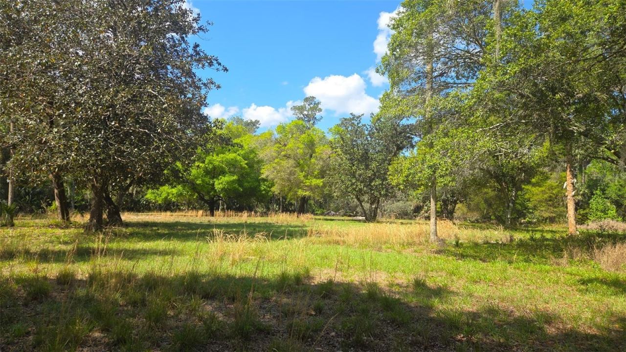 Photo 3 of 2140 St Johns River Rd, Astor, FL 32102