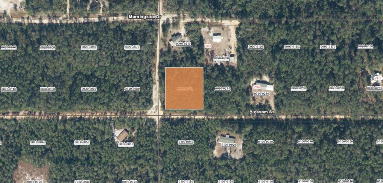 Photo 2 of Xx Blossom, Florahome, FL 32140