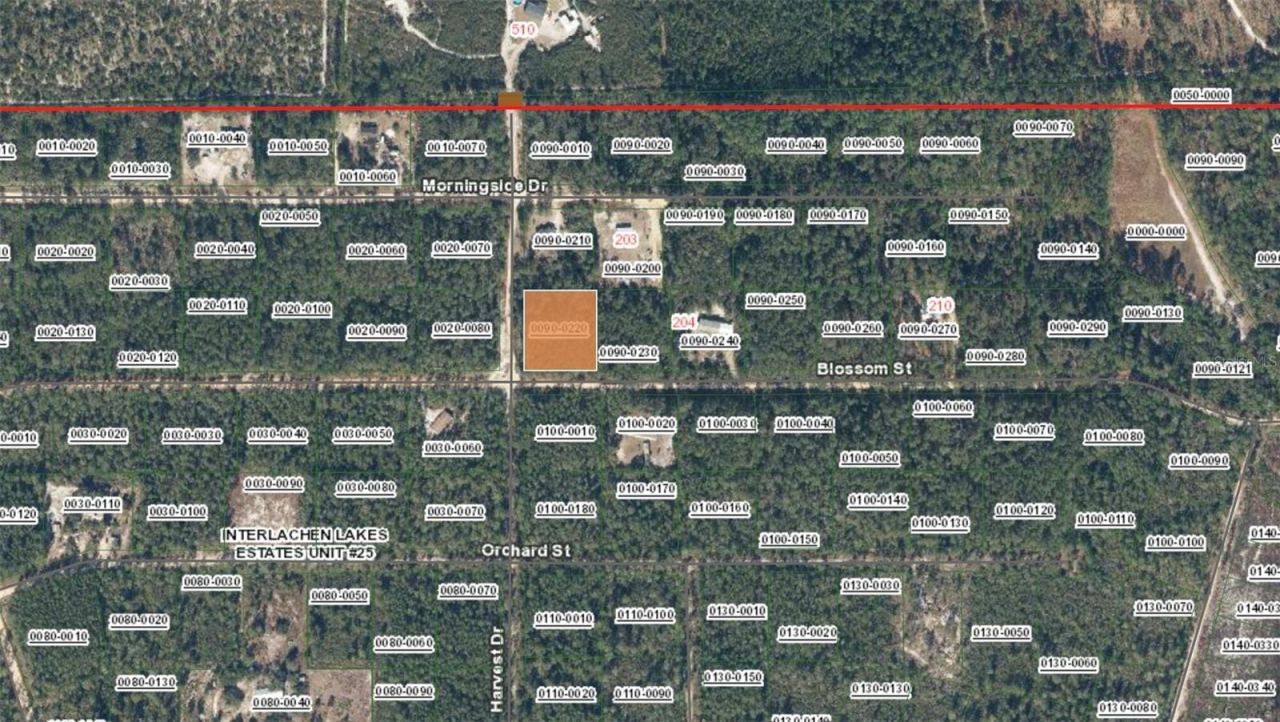 Photo 3 of Xx Blossom, Florahome, FL 32140
