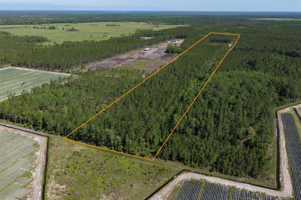 Photo 2 of 15539 County Rd 305, Bunnell, FL 32110