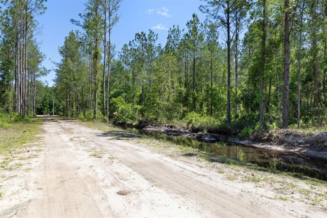 Photo 3 of 15539 County Rd 305, Bunnell, FL 32110