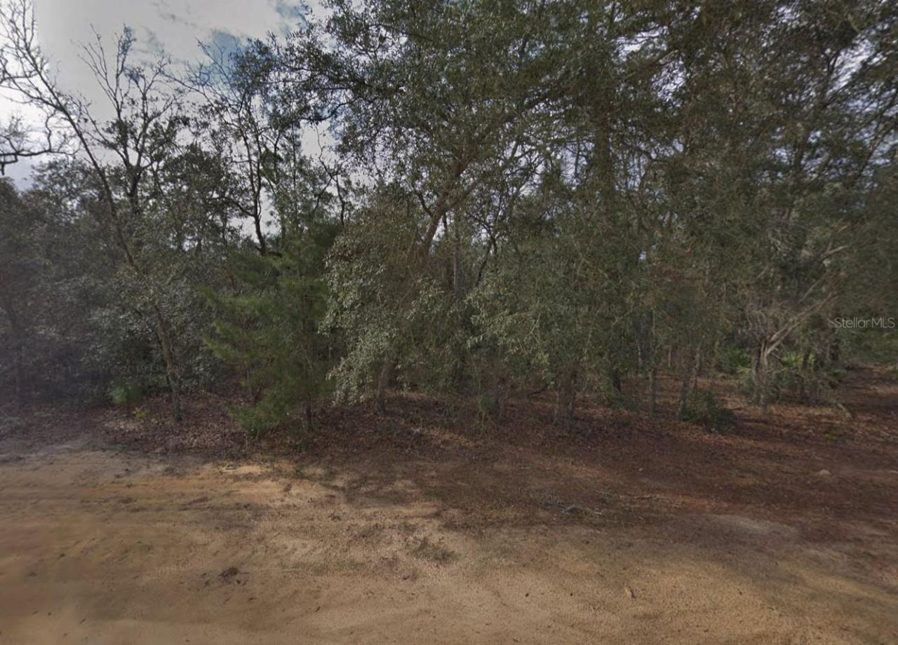 917 David Ave, Interlachen, FL 32148