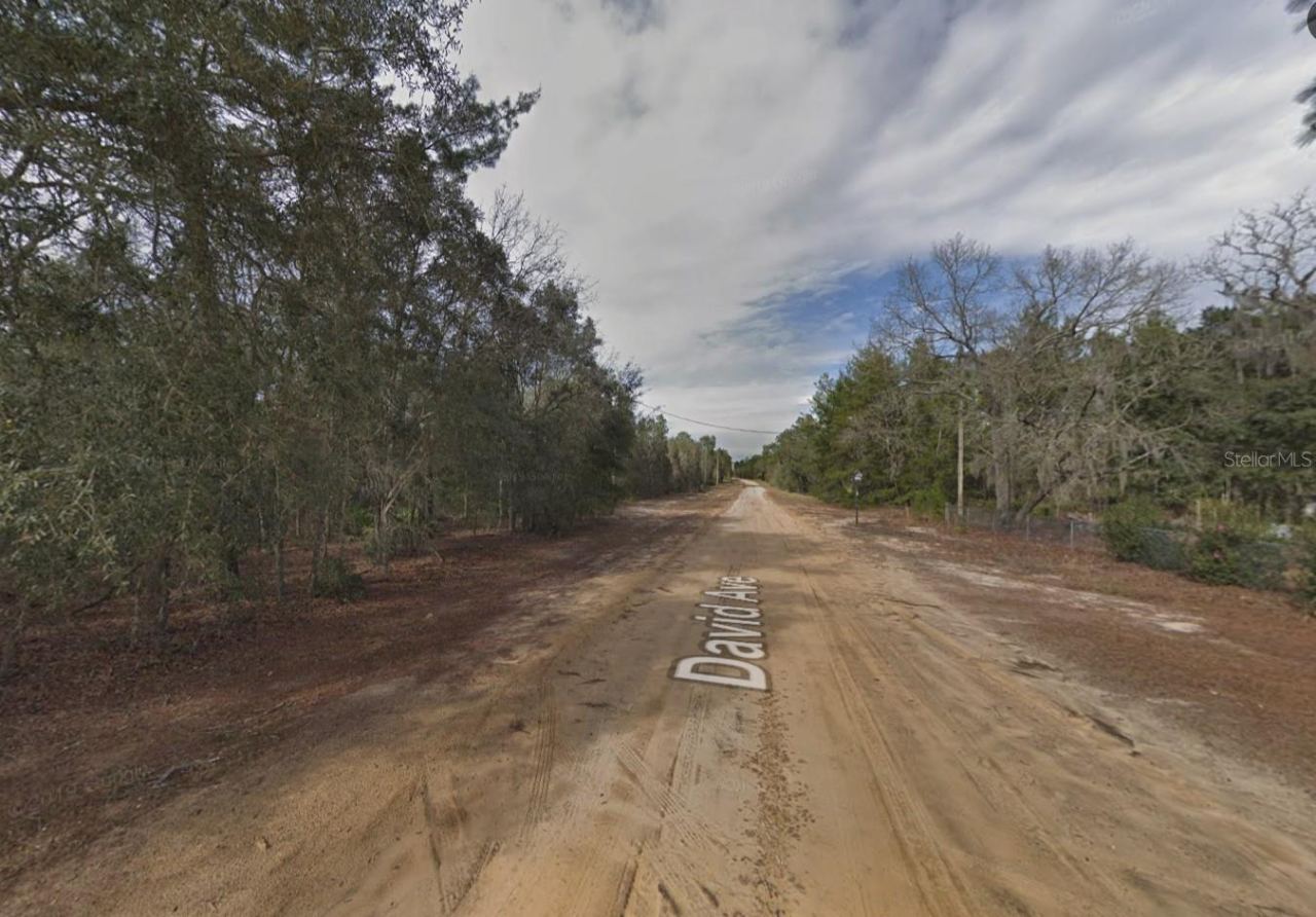 Photo 3 of 917 David Ave, Interlachen, FL 32148