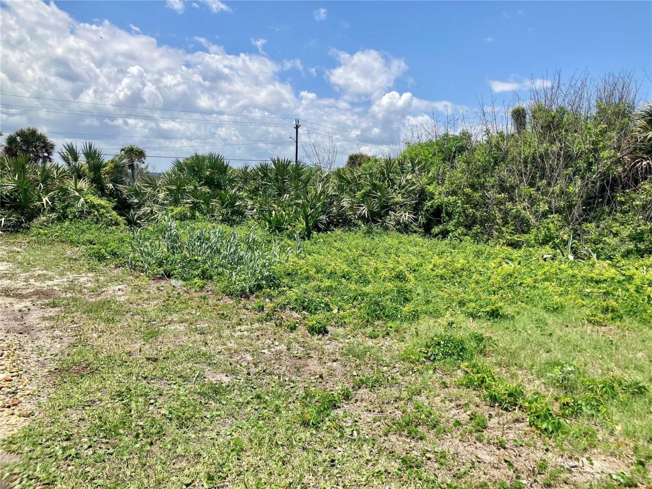 Photo 3 of 6000 S Atlantic Ave, New Smyrna Beach, FL 32169