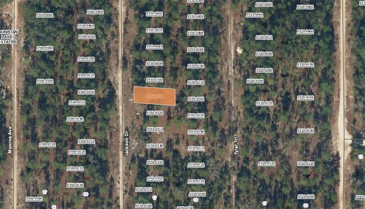 Xx Jackson Dr, Hawthorne, FL 32640
