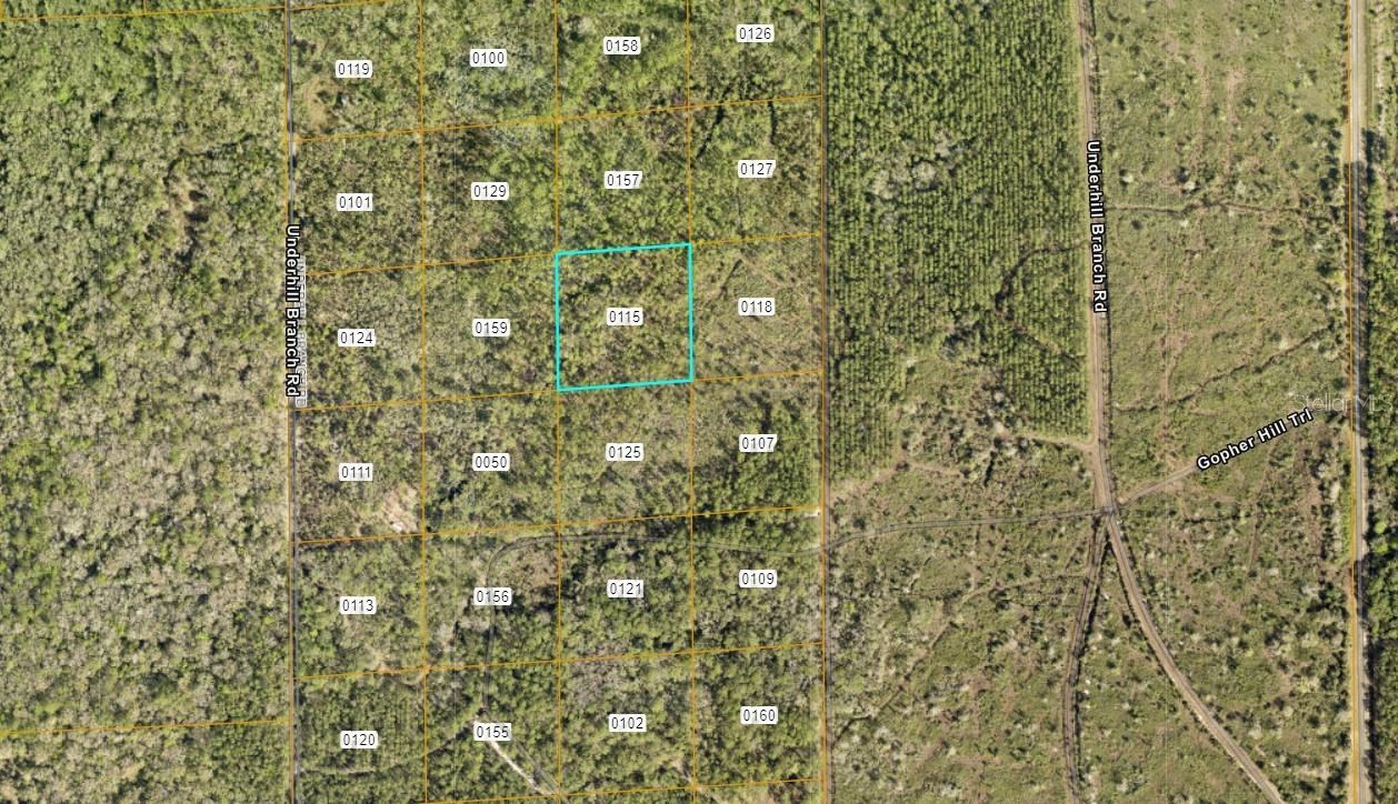 Photo 2 of Lake Harney Rd, Osteen, FL 32764