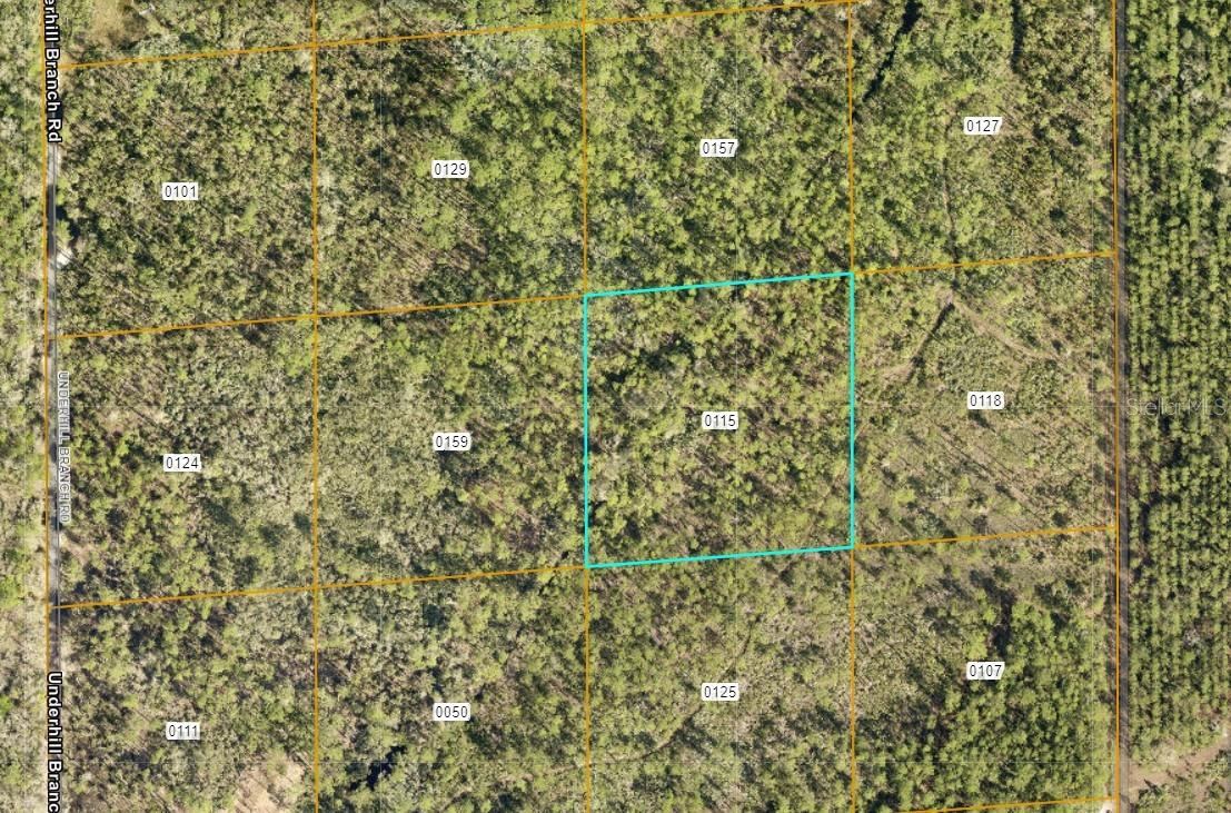 Photo 3 of Lake Harney Rd, Osteen, FL 32764