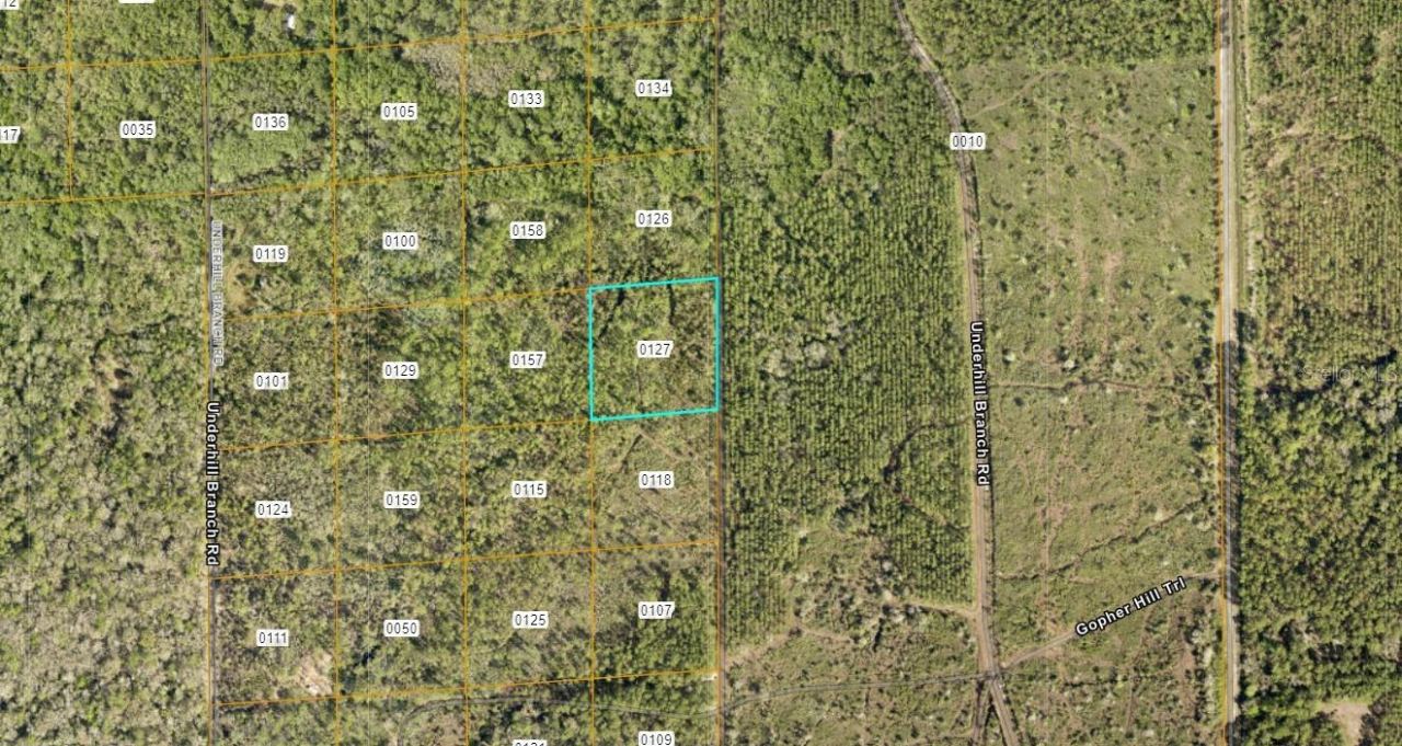 Photo 2 of Lake Harney Rd, Osteen, FL 32764