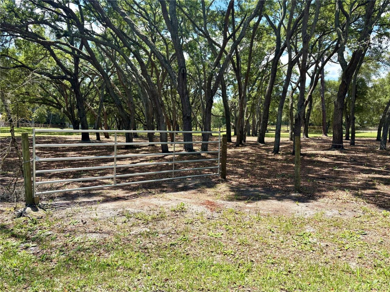Photo 2 of 390 Foothill Farms Rd, Orange City, FL 32763