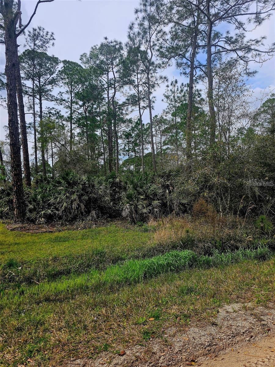 Photo 3 of East Pkwy, Deland, FL 32724