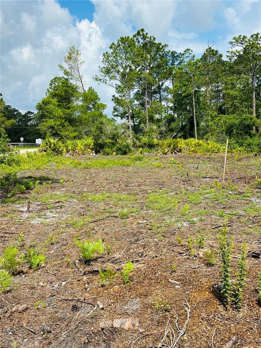 Photo 3 of 2873 Laurel Rd, Deland, FL 32724