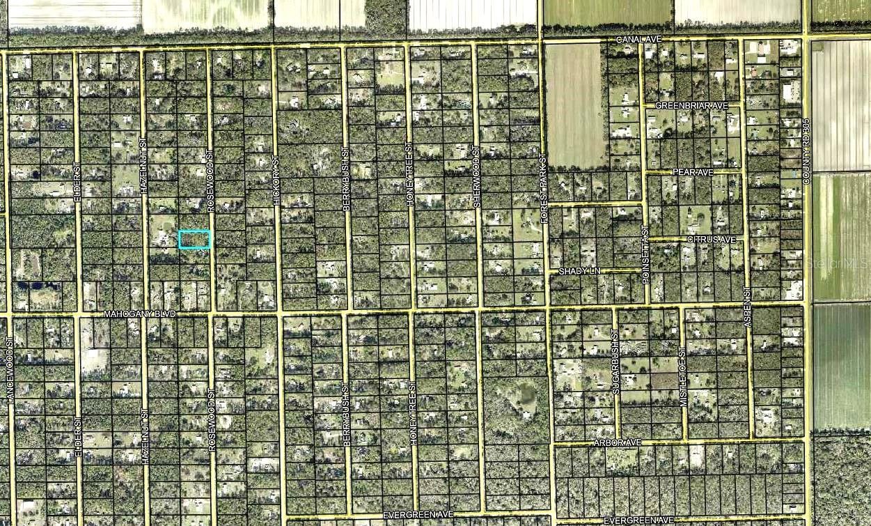 Photo 2 of 1352 Rosewood St, Bunnell, FL 32110