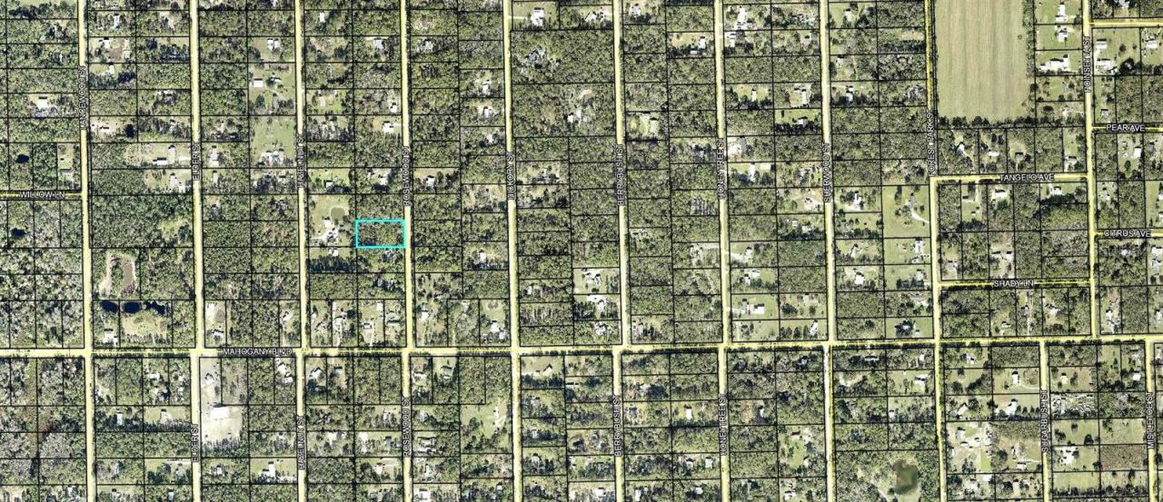 Photo 3 of 1352 Rosewood St, Bunnell, FL 32110
