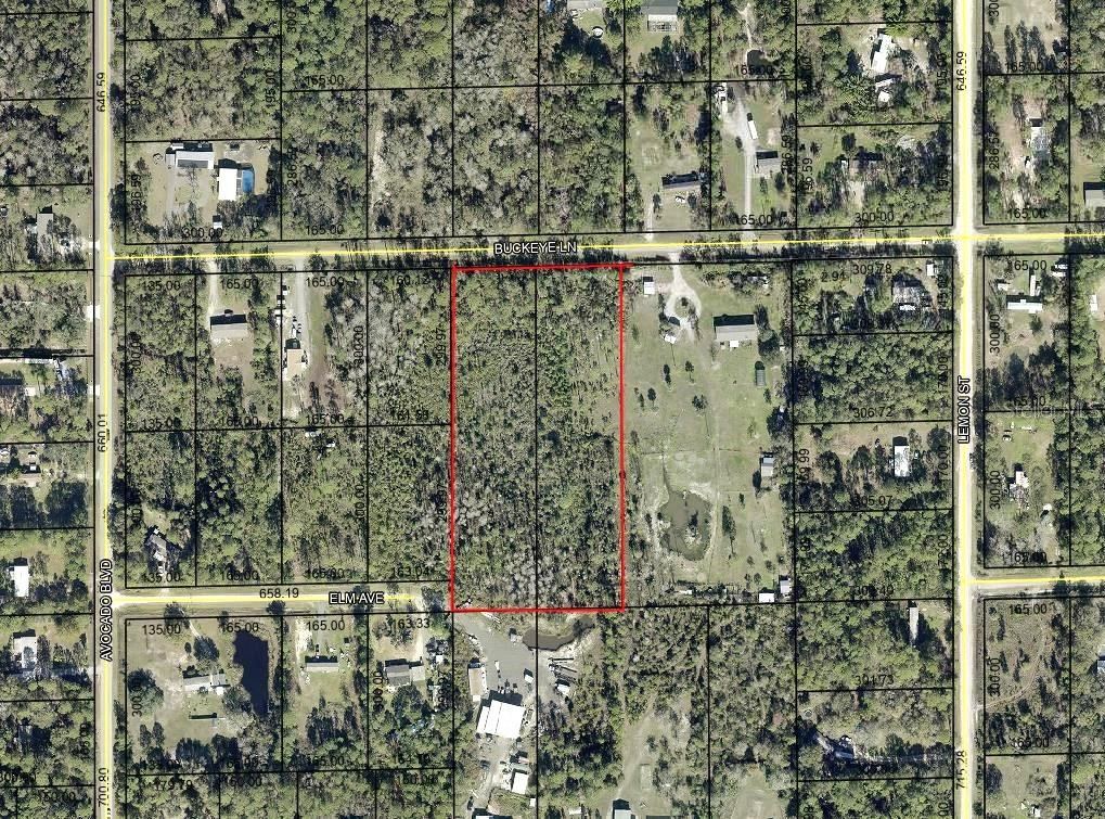 5799 Buckeye Ln, Bunnell, FL 32110