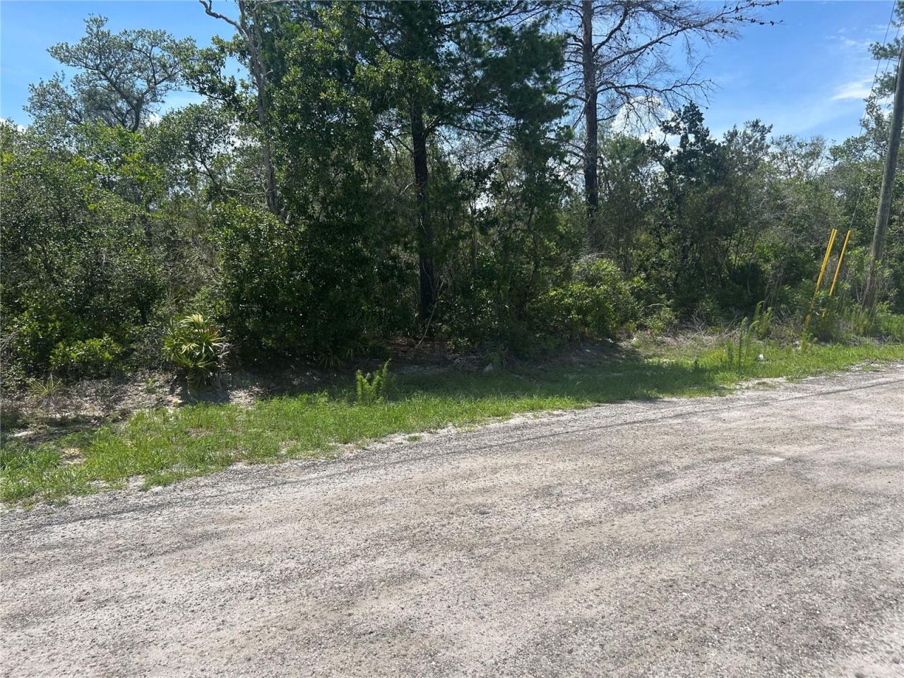 Waldor Ave, Orange City, Fl, FL 32763