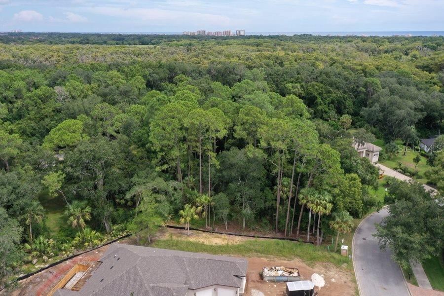 Photo 4 of 165 Willow Oak Way, Palm Coast, FL 32137
