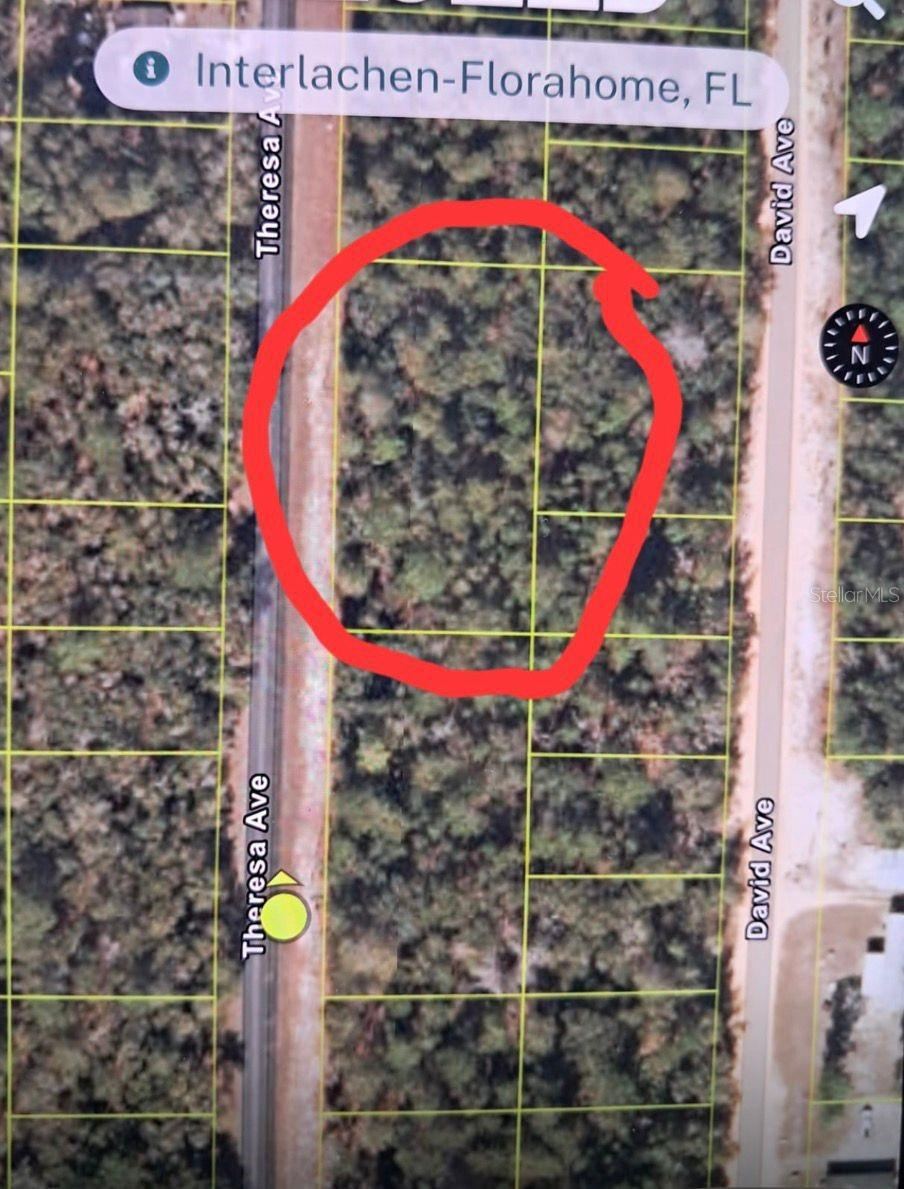 Photo 2 of Tbd Tbd, Interlachen, FL 32148