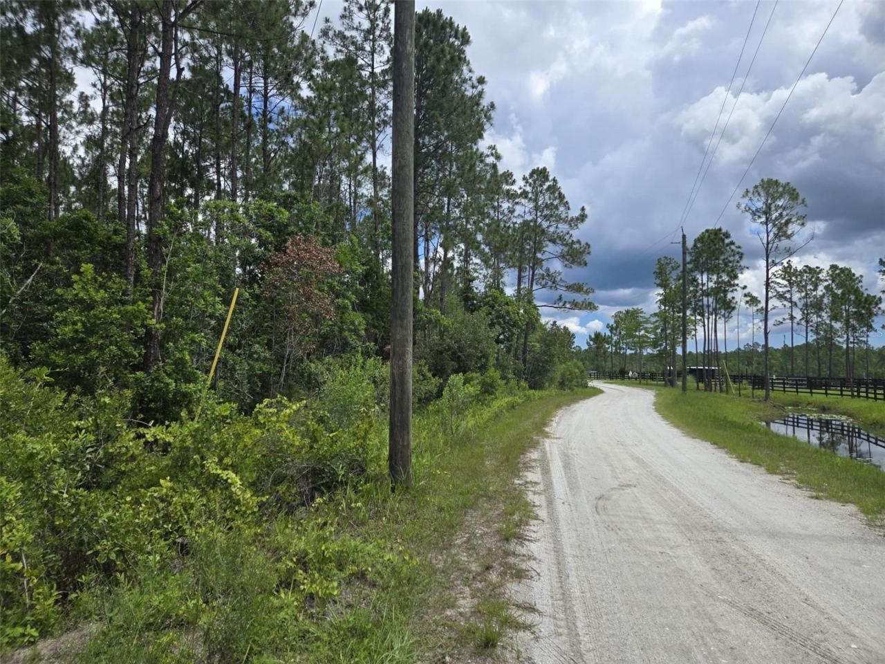 Photo 3 of 1135 Omega Ranch Rd #4&5, New Smyrna Beach, FL 32168