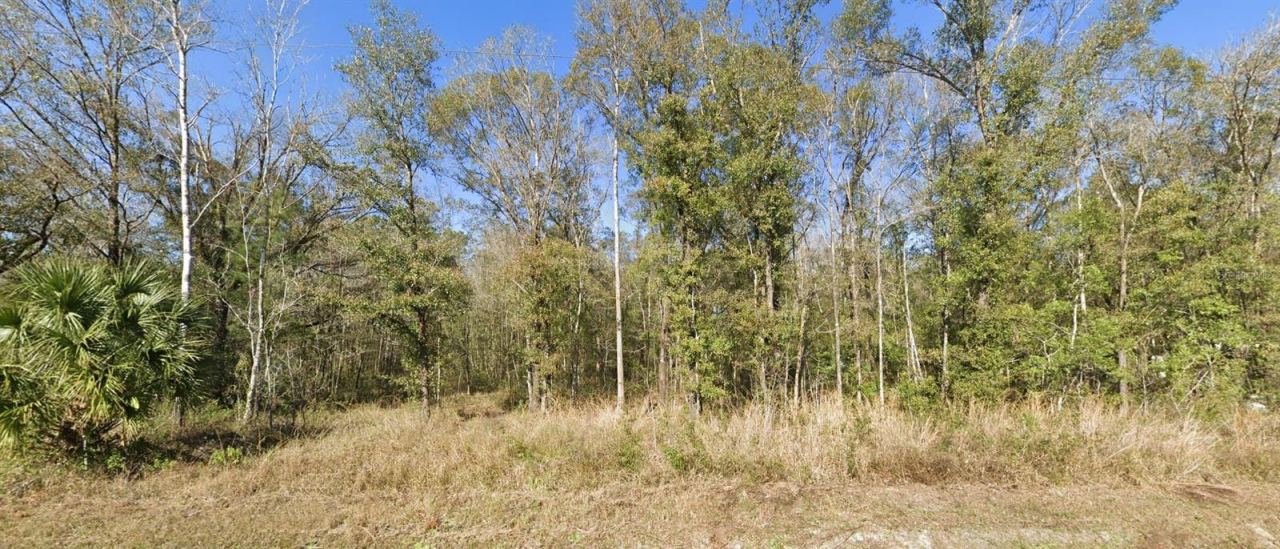 Photo 2 of 4720 Jonathan St, Hastings, FL 32145