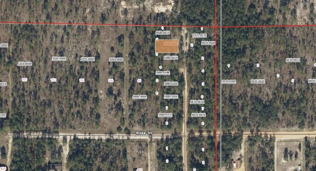 Photo 3 of Royal Way, Interlachen, FL 32148