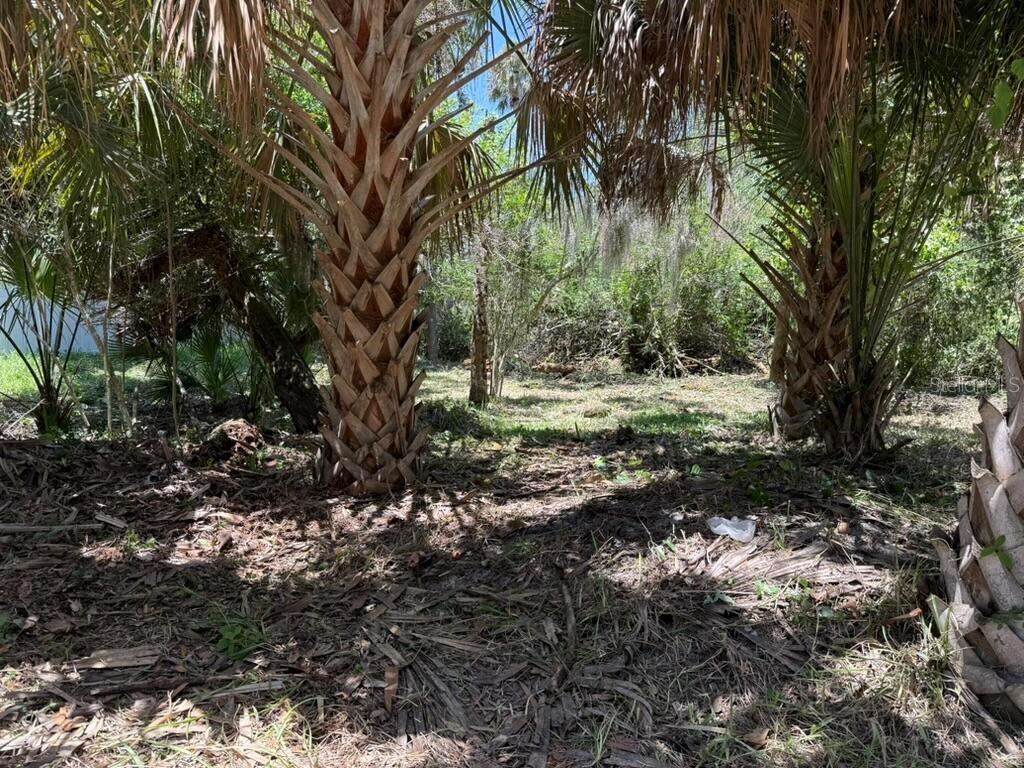 Photo 2 of 110 Oak St, Flagler Beach, FL 32136