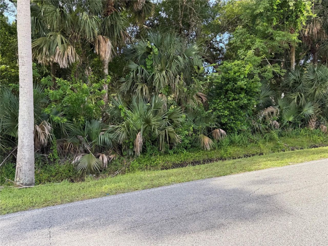Photo 2 of 1400 Enterprise Ave, New Smyrna Beach, FL 32168