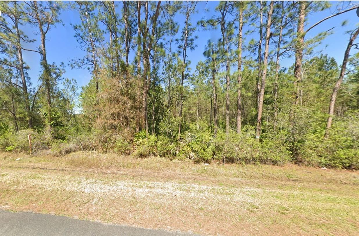 4297 W Highway 100, Bunnell