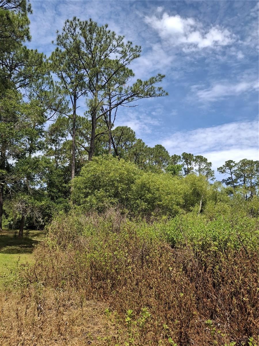 Photo 3 of 885 E Lehigh Dr, Deltona, FL 32738