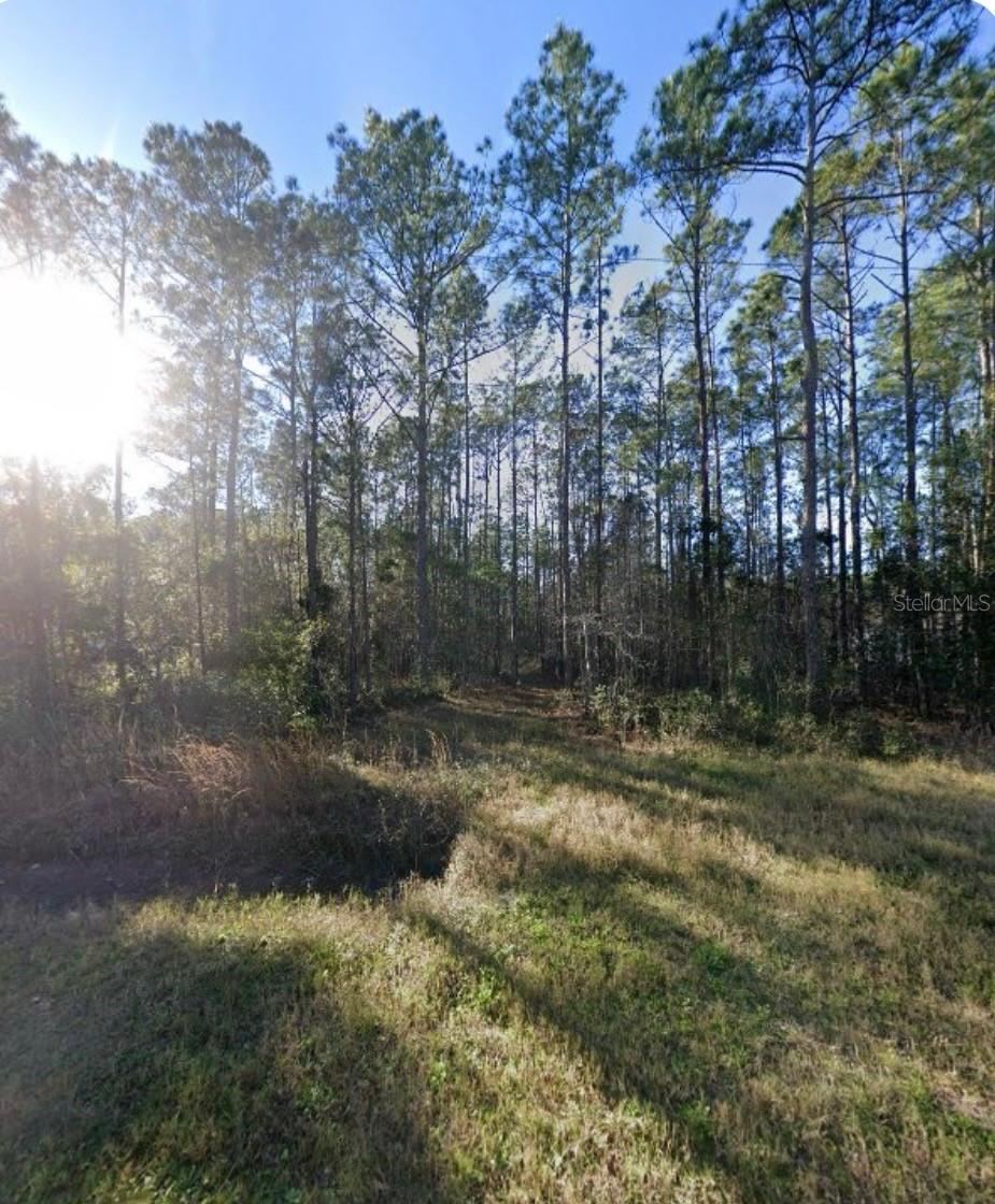9930 Crotty Ave, Hastings, FL 32145