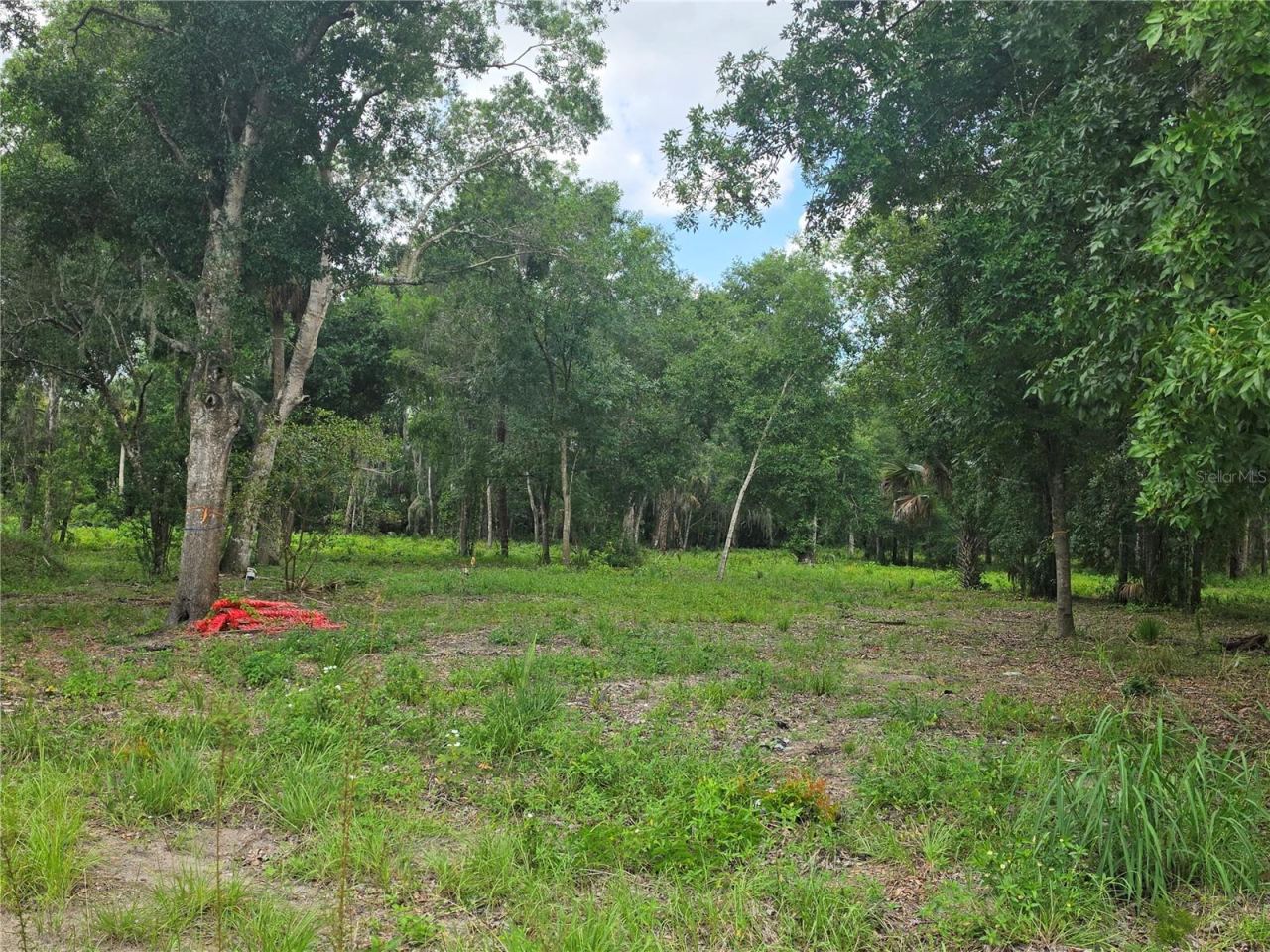 180 Oak Dr, Osteen, FL 32764