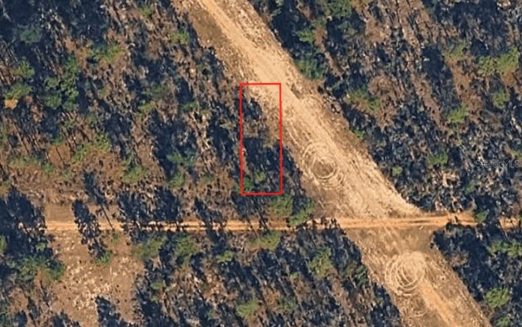 Xx Birch Ave, Interlachen, FL 32148