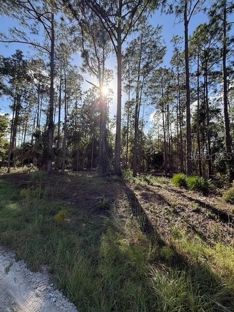 215 Hideaway Ln, Georgetown, FL 32139