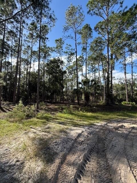 Photo 2 of 215 Hideaway Ln, Georgetown, FL 32139