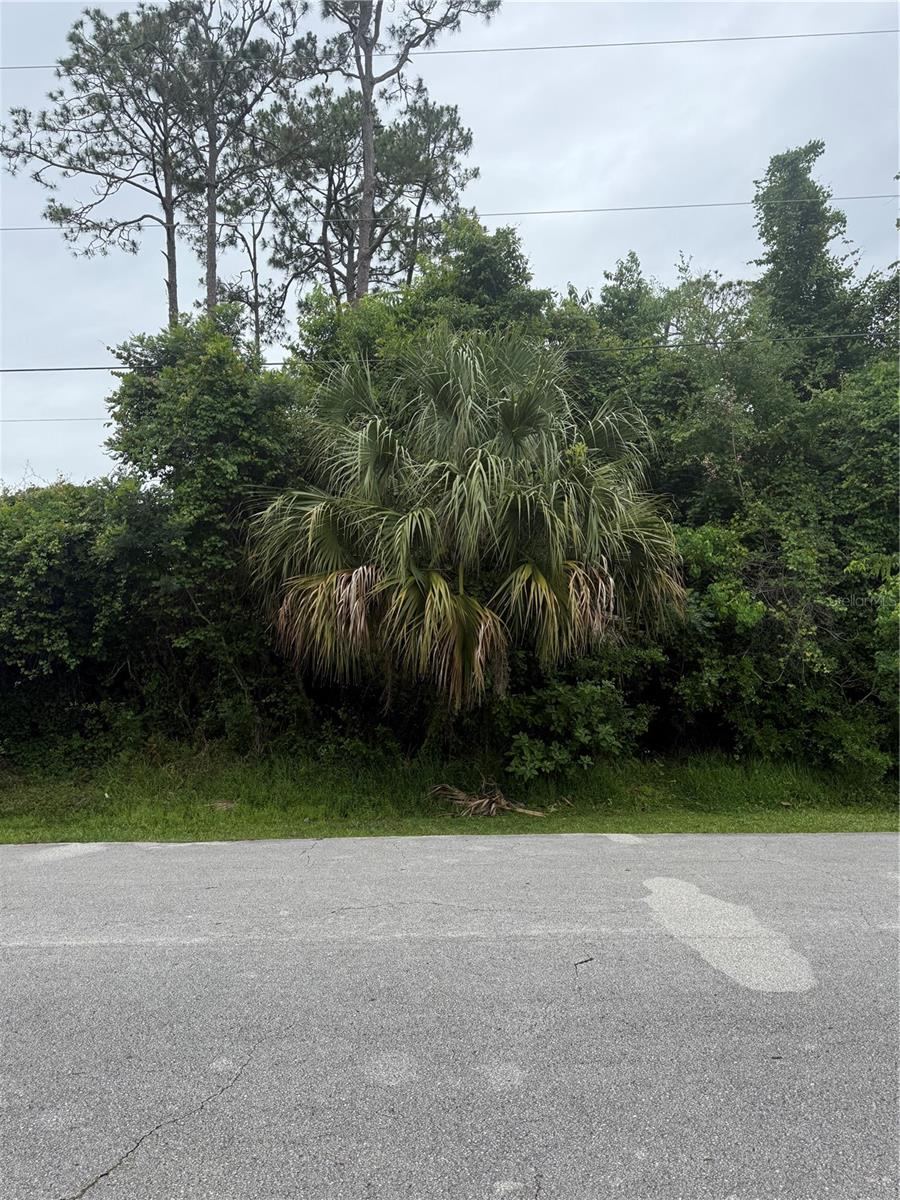 38 Squash Blossom Trl, Palm Coast, FL 32164