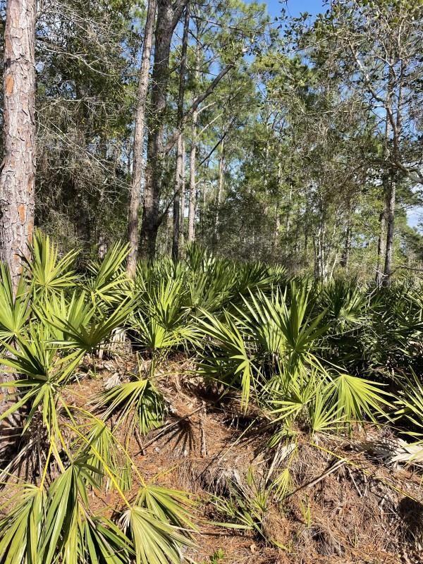 Photo 2 of 32 Fyfe Ave, Debary, FL 32713
